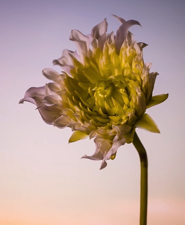 Image 24-09-2020 à 11.39